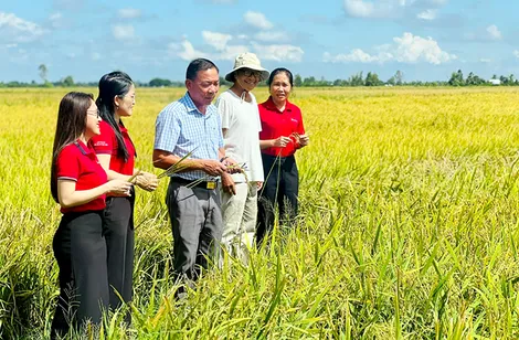Agribank Chi nhánh Hòa Bình Bạc Liêu - Đồng hành cùng nông dân làm giàu