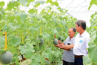 Phát triển nông nghiệp công nghệ cao
