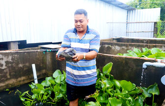 កសិករ​ចាក​ផុត​ពី​ភាព​ក្រី​ក្រ​ដោយ​សារ​ទម្រង់​ចិញ្ចឹម​អន្ទង់​មិន​ប្រើ​ភក់​