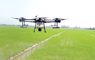 Đảm bảo an toàn sản xuất lúa đông xuân 2025-2026