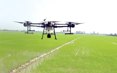 Đảm bảo an toàn sản xuất lúa đông xuân 2025-2026
