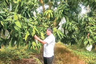 Xây dựng thương hiệu cho sản phẩm nông nghiệp