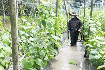 Sau gần 5 năm triển khai Chương trình 1719: Từ thành quả đến khát vọng bứt phá