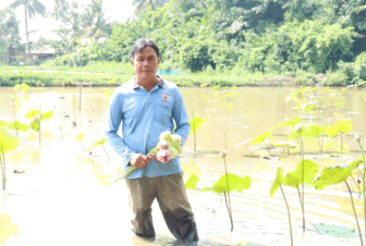 ទម្រង់​អភិវឌ្ឍ​សេដ្ឋ​កិច្ច​របស់​មា​មីង​ជន​ជាតិ​ភាគ​តិច