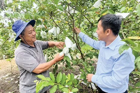 Năng động chuyển đổi sản xuất thành công