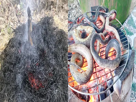 Đệ nhất nướng!