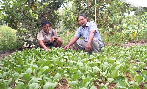 Sắt son niềm tin với Đảng