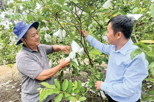 Năng động chuyển đổi sản xuất thành công