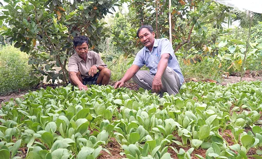 Sắt son niềm tin với Đảng
