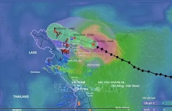 Khẩn cấp ứng phó "bão chồng bão"