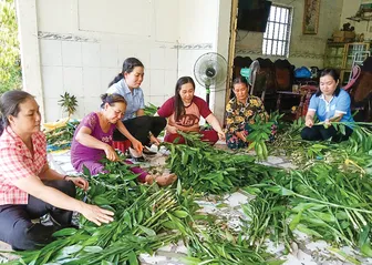 Nhiều hoạt động hỗ trợ hội viên, phụ nữ phát triển kinh tế