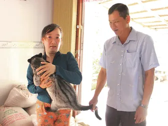 Phát triển kinh tế với mô hình nuôi chồn hương