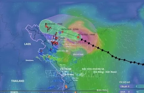 Khẩn cấp ứng phó "bão chồng bão"