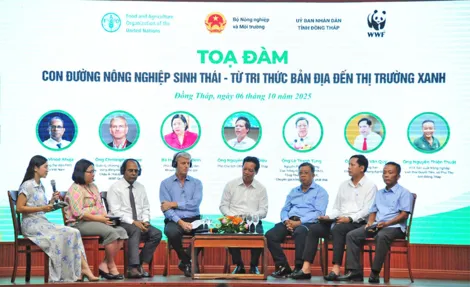 Thúc đẩy nông nghiệp sinh thái và chuyển đổi hệ thống lương thực thực phẩm