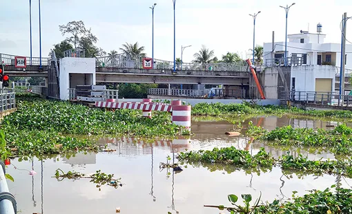 Triều cường Rằm tháng 8 âm lịch sẽ lên cao trong những ngày tới