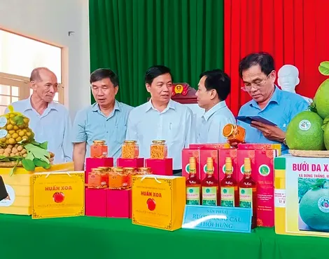 Tìm hướng nâng tầm giá trị sản phẩm OCOP