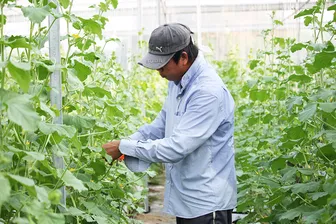 Để nông nghiệp ĐBSCL bắt nhịp và bứt phá