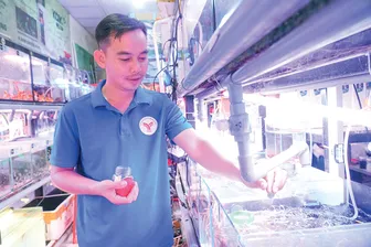 Khởi nghiệp thành công với mô hình kinh doanh cá kiểng