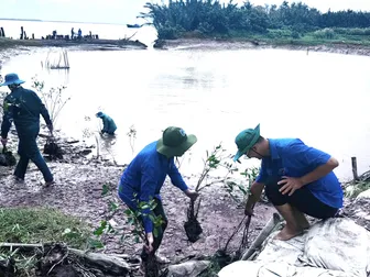 Tích cực tham gia bảo vệ môi trường