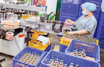 Sản xuất xanh: Gieo mầm cho phát triển bền vững