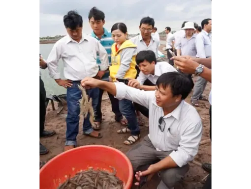 Hội thảo thực hành Quy phạm nuôi trồng thủy sản tốt VietGAP