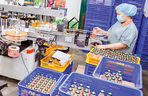 Sản xuất xanh: Gieo mầm cho phát triển bền vững