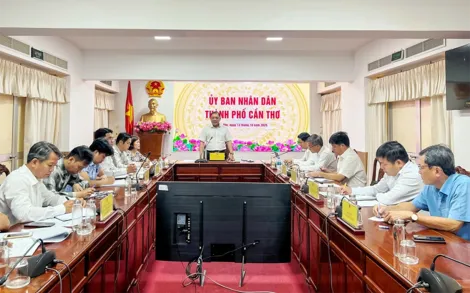Thống nhất phương án di dời đường dây 220kV bị ảnh hưởng bởi Dự án cao tốc Châu Đốc - Cần Thơ - Sóc Trăng