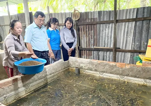 Khởi nghiệp với nghề nuôi lươn