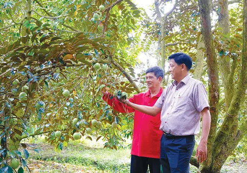 Phát triển nông nghiệp, nông thôn toàn diện, bền vững