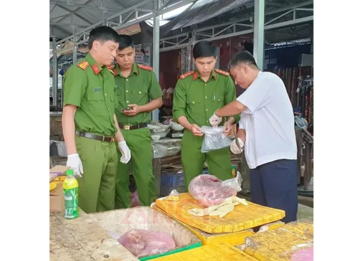 Phát hiện vụ giết mổ và mua bán thịt nhiễm dịch tả heo châu Phi
