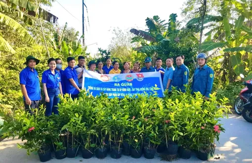 Câu chuyện “7 dám” ở khu vực Đông Bình