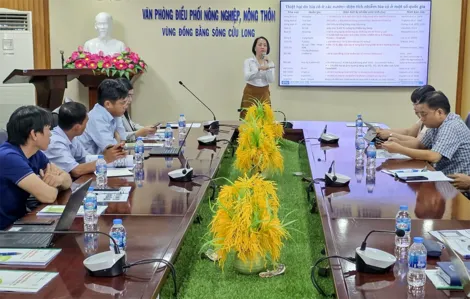 Quan tâm thực hiện quản lý tổng hợp dịch hại lúa cỏ