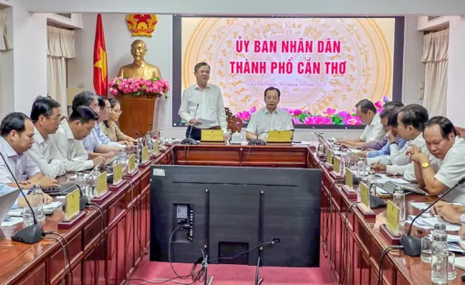 TP Cần Thơ rà soát thực hiện kế hoạch tăng trưởng kinh tế năm 2025 TP Cần Thơ rà soát thực hiện kế hoạch tăng trưởng kinh tế năm 2025