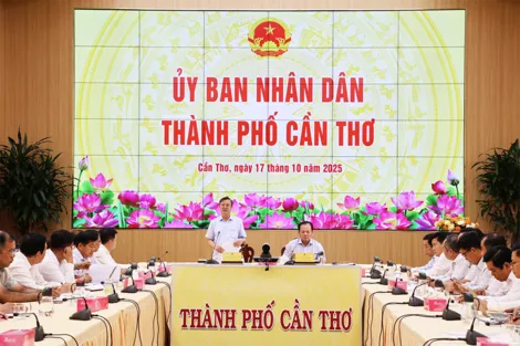 Kiện toàn tổ chức, hoạt động, đẩy nhanh tiến độ giải ngân vốn đầu tư công