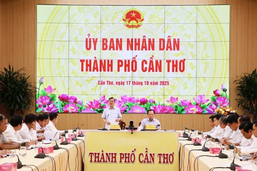 Kiện toàn tổ chức, hoạt động, đẩy nhanh tiến độ giải ngân vốn đầu tư công