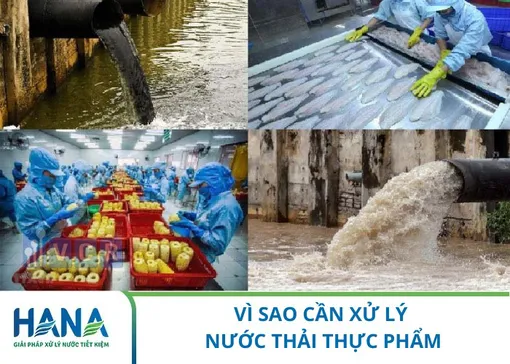 Xử lý nước thải thực phẩm - “trái tim” của nhà máy xanh và bền vững