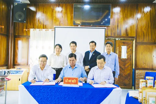 Kết nối đưa nông sản và sản phẩm OCOP của xã Trường Thành vào Cần Thơ ECO Resort