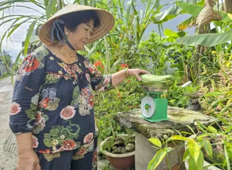 Chuyện cân, đong, đo, đếm và nét văn hóa chợ ĐBSCL