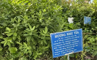 Kết hợp y học cổ truyền trong điều trị, chăm sóc bệnh nhân ung thư