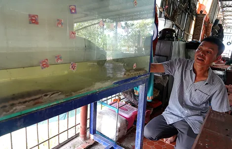 Khởi nghiệp làm giàu từ 2 ký cá dầy