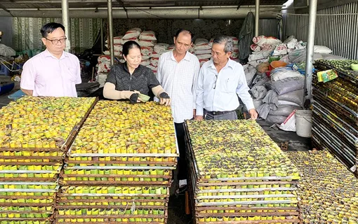 Phát huy hiệu quả nguồn vốn tín dụng chính sách