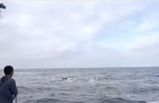 Đưa ngư dân gặp nạn trên vùng biển Hoàng Sa về bờ an toàn