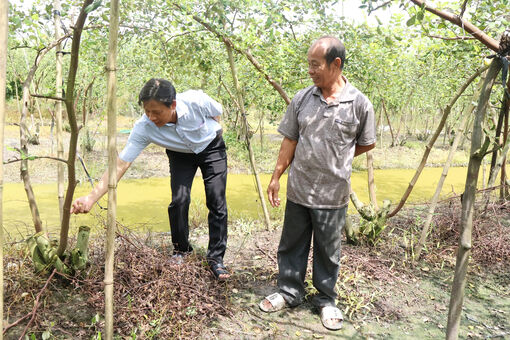 ទម្រង់​អភិ​វឌ្ឍ​សេដ្ឋ​កិច្ច​របស់​ប្រ​ជា​ជន​នៅ​តំ​បន់​ជន​ជាតិ​ភាគ​តិច​