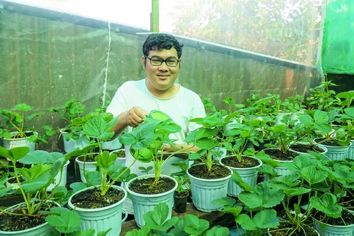 Thầy giáo ở TP Cần Thơ đoạt giải trong cuộc thi về khởi nghiệp do Trung ương Đoàn TNCS Hồ Chí Minh tổ chức