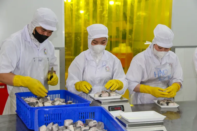 Tăng cường quản lý chất lượng, phát triển thị trường cho sản phẩm nông, lâm, thủy sản Tăng cường quản lý chất lượng, phát triển thị trường cho sản phẩm nông, lâm, thủy sản
