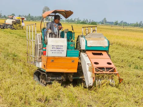 Tham vấn dự thảo kế hoạch hành động triển khai Đề án sản xuất giảm phát thải lĩnh vực trồng trọt
