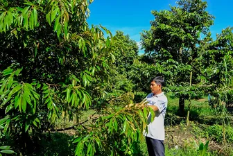 Huy động sức mạnh tổng hợp nâng chất nông thôn mới kiểu mẫu