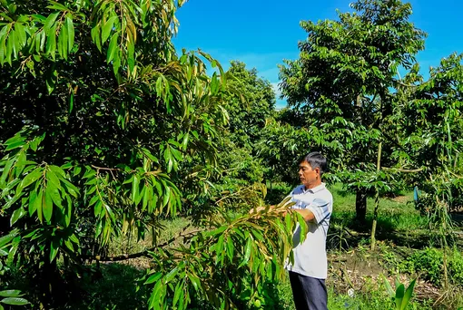 Huy động sức mạnh tổng hợp nâng chất nông thôn mới kiểu mẫu