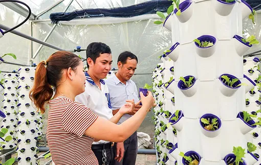 Ứng dụng khoa học, công nghệ, chuyển đổi số trong nông nghiệp