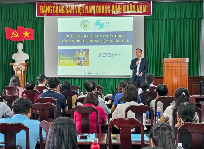Nâng cao nhận thức về bảo hộ và thực thi quyền sở hữu trí tuệ đối với giống lúa OM Nâng cao nhận thức về bảo hộ và thực thi quyền sở hữu trí tuệ đối với giống lúa OM